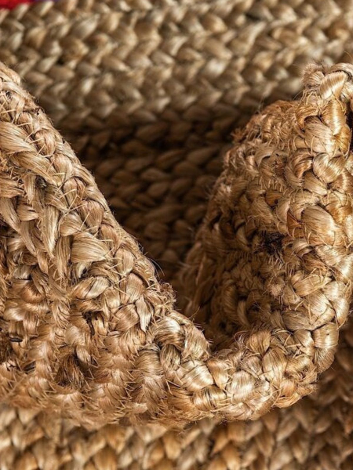Meru bordered braided area rug_3
