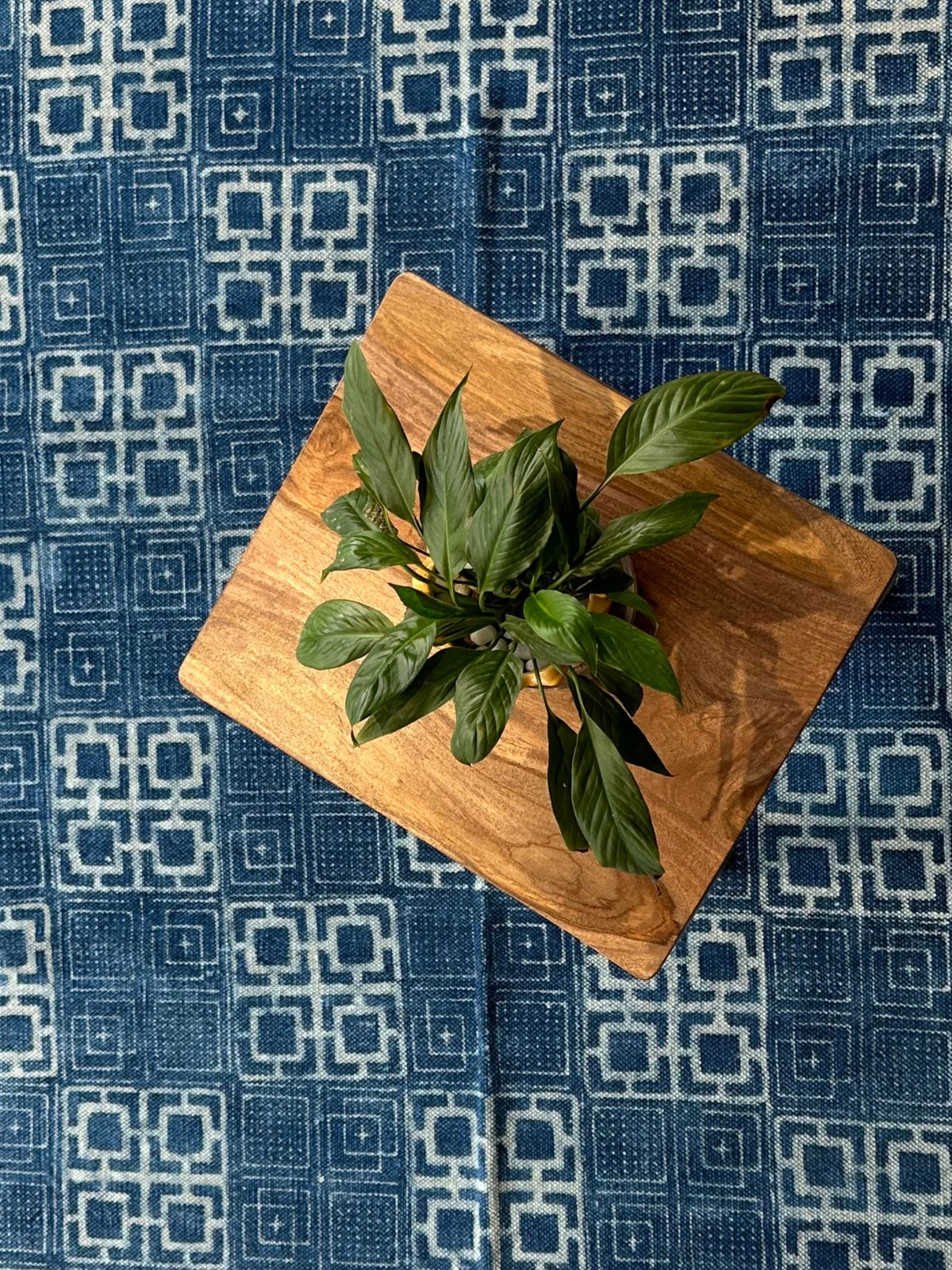 Indigo Symphony cotton flatweave Rug_3
