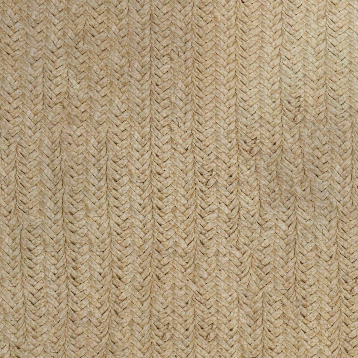 Jute_1